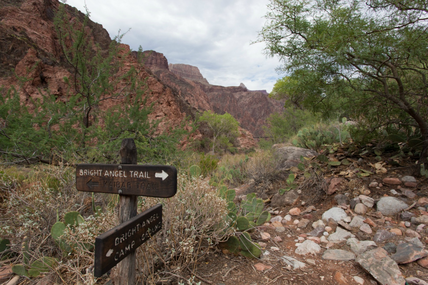 USA_Grand Canyon_144